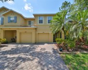 10535 Shady Falls Court, Riverview image