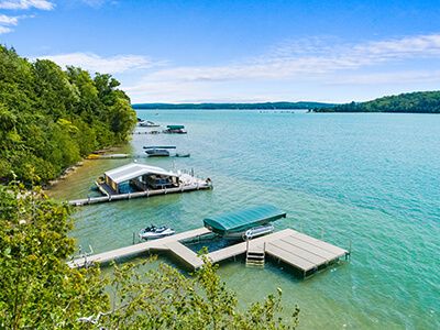 Douglas Lake Real Estate
