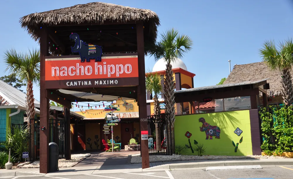 Nacho Hippo