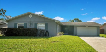 2701 Clear Cove Lane, Orlando