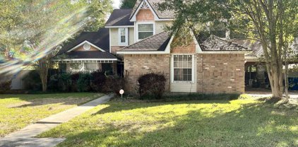 13035 Basswood Ln., Beaumont