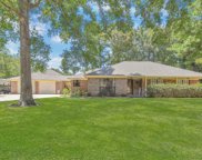 193 Dogwood Trail, New Caney image