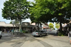 downtown edmonds
