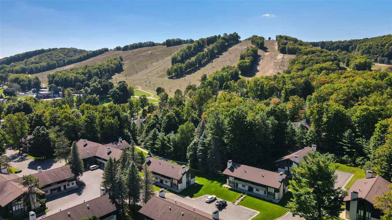 2589 Ramshead Condo Drive Unit 4, Boyne Falls, 49713