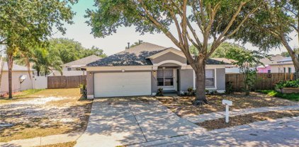 3007 Summer House Drive, Valrico