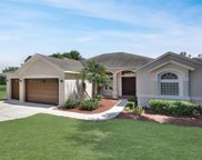13251 Long Pine Trail, Clermont image
