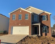 11425 Caswell Springs Way, Louisville image