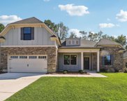 228 Murray Falls Lane, Chapin image