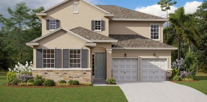 19366 Banfield Place, Orlando