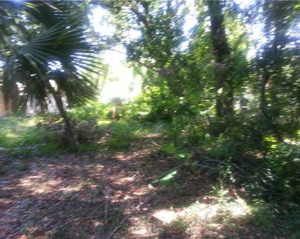 412 E. Harding Str., Orlando