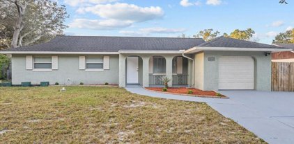 4814 Cherokee Rose Drive, Orlando