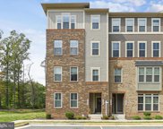 41445 Black Cherry Ter, Aldie image