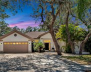 10417 Nightengale Drive, Riverview image