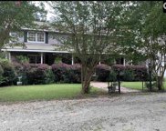 2207 Wessinger Road, Chapin image