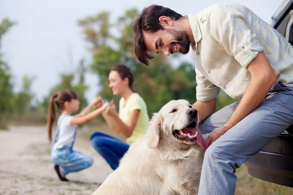 Search Simpsonville homes and Simpsonville real estate.
