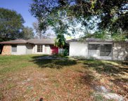 12701 Twin Branch Acres Road, Tampa image