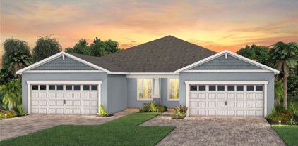 15068 Aqua Sol Lane, Winter Garden