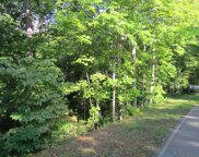 01 Caledonia, Landrum image