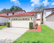 11416 Linarbor Place, Temple Terrace image