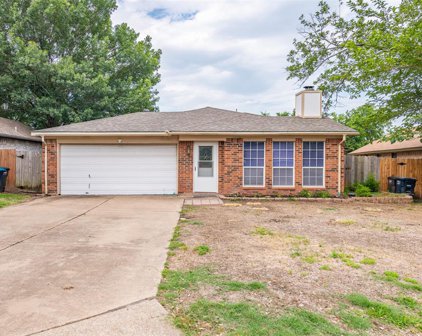 10213 Lone Eagle  Court, Fort Worth