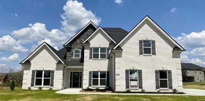 8906 Andalusion Way, Lascassas