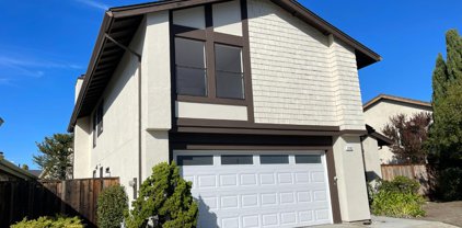 1146 Halsey BLVD, Foster City