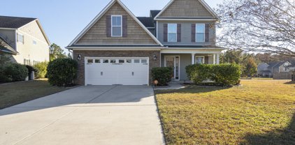 1328 Waters End Court, Leland