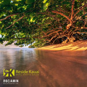 Photo of Princeville beach under a tree.