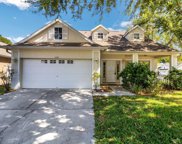 17401 Blooming Fields Drive, Land O' Lakes image