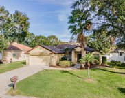 3433 Silverstone Court, Plant City image