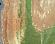14191 Cattle Ranch Drive, Smithville image