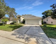 2451 Walnut Heights Road, Apopka image