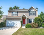 219 Walkbridge Way, Chapin image