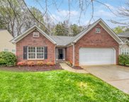 4263 Wiregrass  Road, Fort Mill image