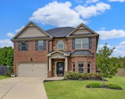 651 Meadow Grass Lane, Lexington image