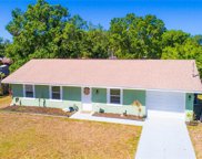 1407 Murillo Loop, Ruskin image