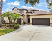 20404 Walnut Grove Lane, Tampa image