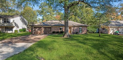 3302 Rustling Pines Street, Spring