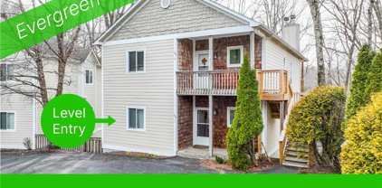 164 Evergreen Springs Court Unit 201, Blowing Rock