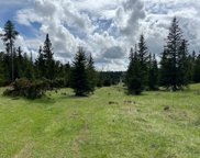 TBD Boles Canyon Road, Hill City image