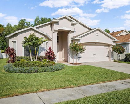1213 Katahdin Court, Wesley Chapel