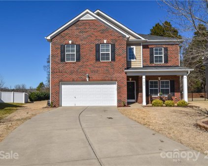 1079 Albany Park  Drive, Fort Mill
