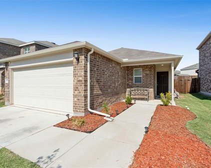 1090 Castroville  Drive, Forney