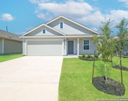 768 Opossum Trl, New Braunfels image