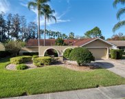 16614 Vallely Drive, Tampa image