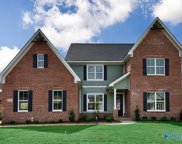 16 Belle River Way, Gurley image