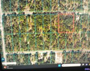lots12,13 Sw Green Bay Drive, Dunnellon image