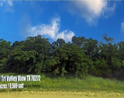 256 Chisholm  Trail, Valley View