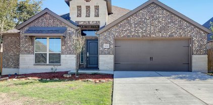 14014 Gemma, San Antonio
