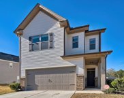 253 Bickley View Court, Chapin image